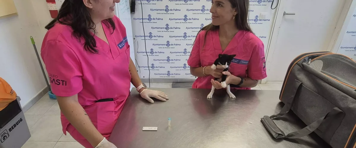 La perrera de Son Reus refuerza su plantilla tras externalizar la recogida de animales