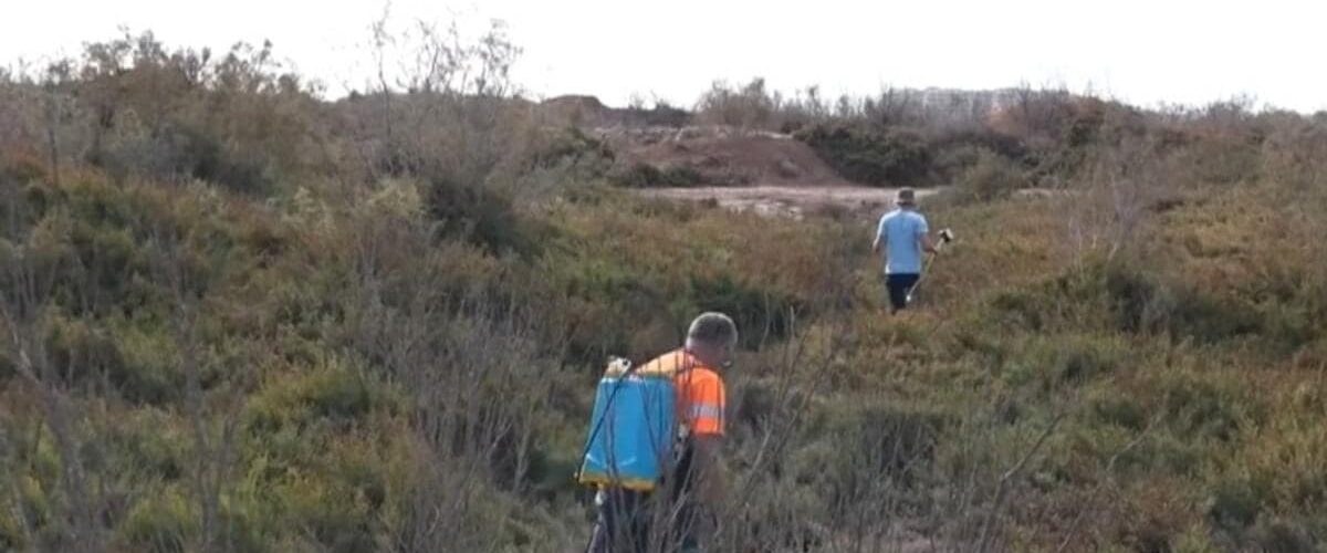 Roquetas avanza en sus labores de fumigación en la Ribera de la Algaida
