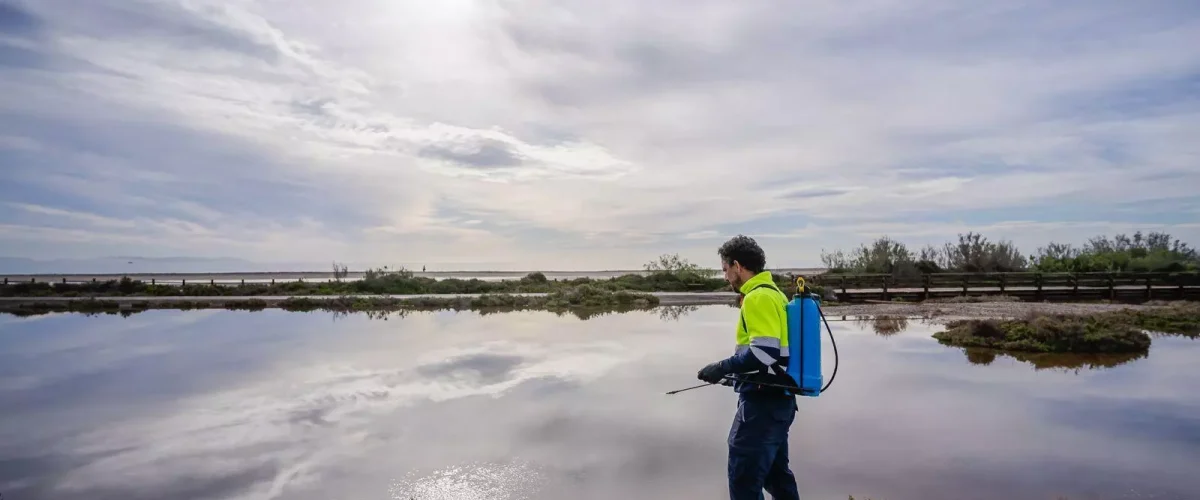 Roquetas intensifica las labores para prevenir las plagas de mosquitos tras las últimas lluvias