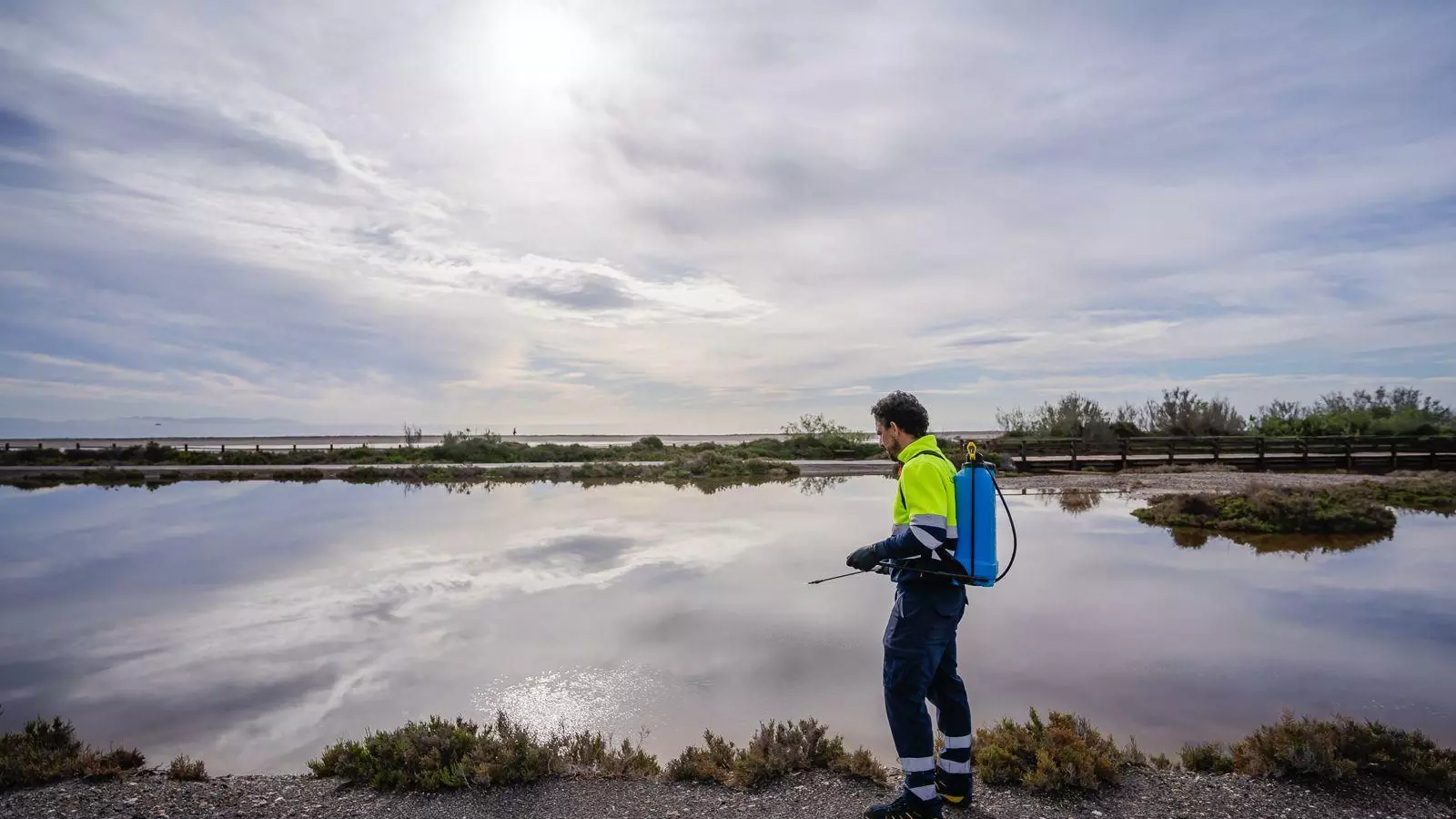 Roquetas intensifica las labores para prevenir las plagas de mosquitos tras las últimas lluvias