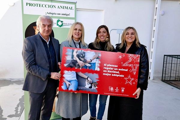 El Ayuntamiento de Granada impulsa una campaña de adopción responsable de perros y gatos de cara a la Navidad