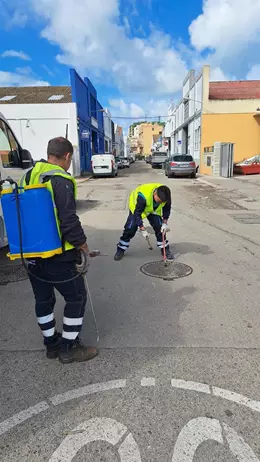 Ayuntamiento de Cádiz intensifica la desinsectación en la red de saneamiento para controlar la población de cucarachas